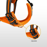 FLOOFI  Dog Harness Vest L Size (Orange) FI-PC-176-XL Petsleisure