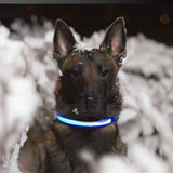 Floofi Solar USB Rechargable LED Dog Collar (M Red) - PT-DC-135-QQQ Petsleisure