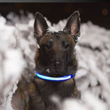 Floofi Solar USB Rechargable LED Dog Collar (M Pink) - PT-DC-141-QQQ Petsleisure