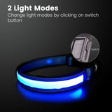 Floofi Solar USB Rechargable LED Dog Collar (L Blue) - PT-DC-143-QQQ Petsleisure
