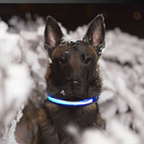 Floofi Solar USB Rechargable LED Dog Collar (L Blue) - PT-DC-143-QQQ Petsleisure