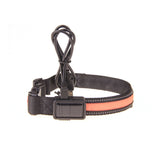 Floofi Solar USB Rechargable LED Dog Collar (L Orange) - PT-DC-147-QQQ Petsleisure