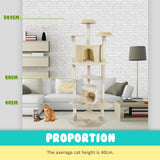 Paw Mate 201cm Beige Cat Tree Parala Multi Level Scratcher Petsleisure