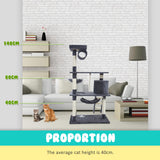 Paw Mate 140cm Grey Cat Tree Maple Multi Level Scratcher Petsleisure