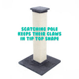 Paw Mate 92cm Grey Cat Tree Noppo Multi Level Scratcher Petsleisure