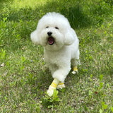 Daeng Daeng Shoes 28pc M Violet Dog Shoes Waterproof Disposable Boots Anti-Slip Socks Petsleisure
