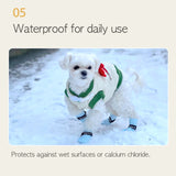 Daeng Daeng Shoes 28pc M Violet Dog Shoes Waterproof Disposable Boots Anti-Slip Socks Petsleisure