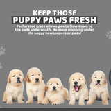 PS KOREA Grey Dog Pet Potty Tray Training Toilet Raised Walls T1 Petsleisure