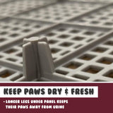 PS KOREA Wine Dog Pet Potty Tray Training Toilet Raised Walls T1 Petsleisure