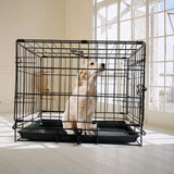 48 Inch Pet Dog Cage Kennel Metal Crate Enlarged Thickened Reinforced Pet Dog House Petsleisure