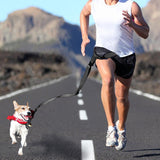 Adjustable Dog Hands Free Leash Waist Belt Buddy Jogging Walking Running Black Uniwide