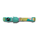 Petsleisure Pet Collars & Harnesses