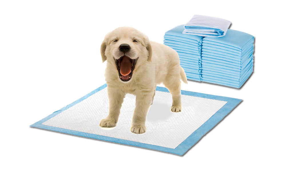 PaWz 100 Pcs 60x60cm Ultra Absorbent Puppy Pet Dog Cat Toilet Training Pads Blue PaWz
