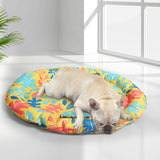 PaWz Pet Cool Gel Mat Cat Bed Dog Bolster Waterproof Self-cooling Pads Summer L PaWz