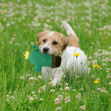 PaWz Dog Chew Toys Squeaky Puppy Soft Plush Non-toxic Teething Interactive Petsleisure