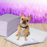 PaWz 200x Pet Dog Toilet Training Pad Puppy Potty Pee Mat Super Absorbent60x60cm Petsleisure