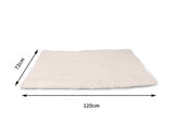 PaWz Pet Bed Heated Dog Cat Soft Mattress Cushion Pillow Mat L PaWz