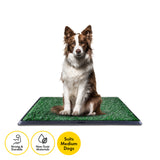 Pet Basic Portable Dog Potty Trainer 3 Layer System Odour Resistant 76 x 50cm Petsleisure